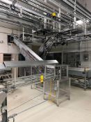 1200'+ S/S Framed Alpine Conveyor for 1 Gallon Jugs - Rigging Fees: $4500