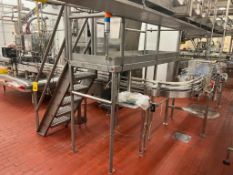 S/S Framed Conveyor with 90° Turn, Dimensions = 18' x 3