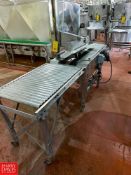 3M Little David S/S Mobile Adjustable Case Sealer, Model: 200A with S/S Mobile Roller Conveyor, Dime