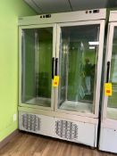 Tekna Line Glass 2-Door Freezer - Rigging Fee: $200