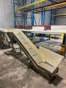 S/S Frame Inclined Product Conveyor, Dimensions = 104