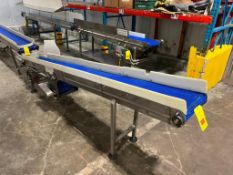 S/S Frame Inclined Product Conveyor with Drive, Dimensions = 124