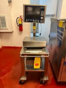 Mettler Toledo ID30 S/S Scale with Touch Screen HMI, Mounted on S/S Cart - Rigging Fee: $75