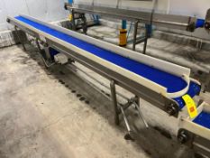 S/S Frame Product Conveyor with Drive, Dimensions = 188
