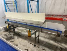 S/S Frame Product Conveyor with Upper Shelf, Dimensions = 142