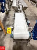 Nercon S/S Frame Product Conveyor with Intralox Belt and Drive , Dimensions = 43