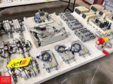 Assorted FESTON Control Blocks, Air Cylinders, Fittings and Regulators - Rigging Fee= $75