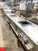 Gough Econ Portartable S/S 3-Station Belt Conveyor with Drive, Dimensions = 254