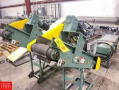 Section Hytral Power Belt Conveyor and Power Roller Conveyor, (2) Inclined , Dimensions = 48