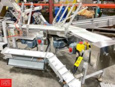 Theegarten 45 Degree S/S Belt Conveyor with Manual Divert and (2) Drives , Dimensions = 88