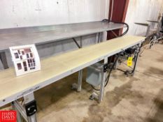 NCC S/S Framed Belt Conveyor , Dimensions = 120