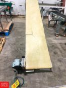 (2) Section NCC Belt Conveyor , Dimensions = 120