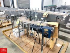 (2) Sections Product Conveyor, Dimensions = 14' with 10