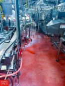 S/S Serpentine Conveyor with Drive, Dimensions = 65' x 3