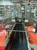 Staco Engineering 5-Lane S/S Caser with S/S Framed Conveyor, Dimensions = 94