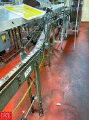 Serpentine Conveyor with Drives and S/S Hood, Dimensions = 35' x 3