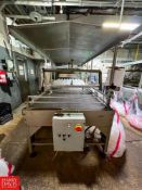 Custom Metal Designs Debagging Table, Dimensions = 128