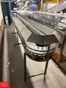 S/S Framed Serpentine Conveyor with S/S Hood, Dimensions = 46' x 3