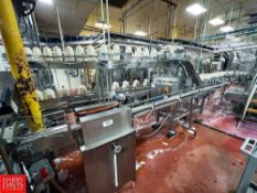 S/S Framed Serpentine Conveyor with Drive, Dimensions = 22' x 3