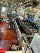 Dual Lane S/S Framed Conveyor with Drive, Dimensions = 17' x 3