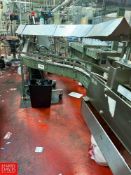 Serpentine Conveyor with Drive and S/S Hood, Dimensions = 45' x 3