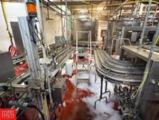 4-Lane Serpentine S/S Framed Conveyor with Drive, Dimensions = 20' x 3