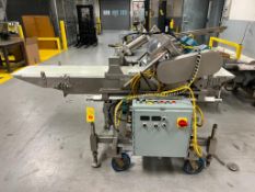 F.N. Smith S/S Framed Mobile Press/Conveyor, Dimensions = 7' x 14