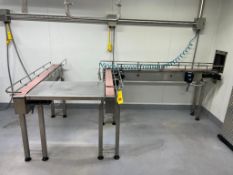 S/S Framed Power Conveyor, Dimensions= 54