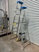 Assorted A-Frame Ladders