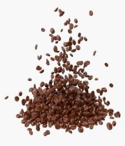 2019 Complete Coffee Processing & Can Filling Lines - IMMEDIATELY AVAILABLE FOR DIRECT SALE PRIOR TO AUCTION