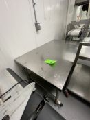 S/S PORTABLE TABLE, MOUNTED ON CASTERS, 53