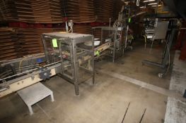 S/S Product Orientor & Flipper, with Straight Section of Arrowhead Straight Section of Conveyor (