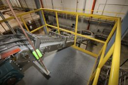 Decline Section of Nercon Dual Lane Conveyor, with Aprox. 17-3/4