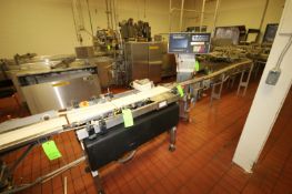 Mettler Toledo Hi-Speed Check Weigher, M/N CHECKMATE 2, S/N 980172-2A, with Straight Section of