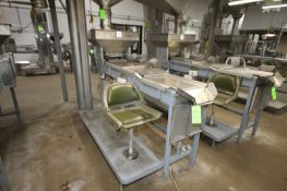 S/S Picking Table, with S/S Infeed Funnel, with (1) Chair, Overall Length of Table: Aprox. 100