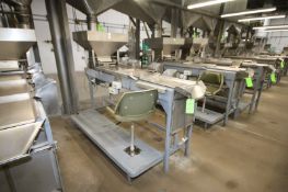 S/S Picking Table, with S/S Infeed Funnel, with (1) Chair, Overall Length of Table: Aprox. 100