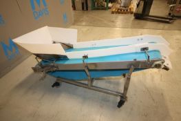 6' L Inclined S/S Conveyor with 20