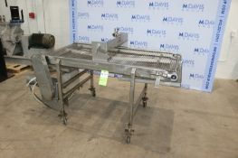 Straight Section of S/S Conveyor, with Top Applicator Mounted, Aprox. 29