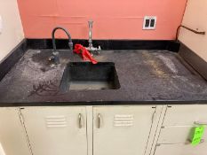 12.5 ft Stone-Top Lab Cabinets with sink (under Biological Hood (see 535-C2)) with cabinets &