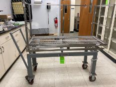 One(1) consolidated sterilizer Systems stainless Steel Cart with 2 shelves - cart 49