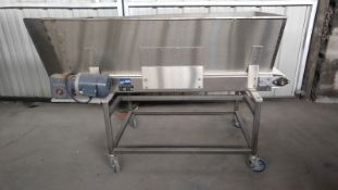S/S Food Grade Plastic Belt Conveyor, 18