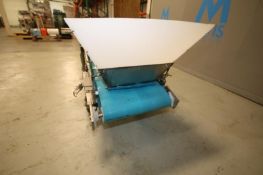 6' L Inclined S/S Conveyor with 20