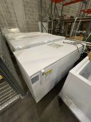 2019 SCIENTEMP SUB-ZERO CULTURE FREEZER, MODEL 34-25JRV, APPROX. 77