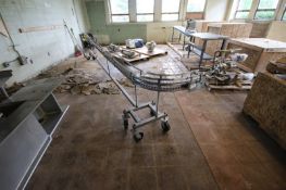 DAIRY CONVEYOR CONVEYOR,12'L X 4