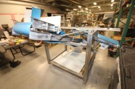 S/S Inclined Conveyor System with (2) Belt Conveyors, (1) 77