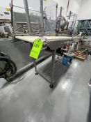 MECANICA OUTFEED CONVEYOR, MODEL MNA000228,APPROX. 21