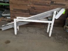 Incline Food Grade Belt Conveyor (NEW Belt) - Aprox. 5-1/4