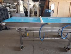 Aquainox Stainless Steel Food Grade Belt Conveyor, Aprox. 34