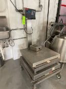 Scale (Loading Fee $50) (Located Dixon, IL)