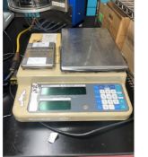 Parts Counting Balance (LOCATED IN IOWA, Free RIGGING and Loading INCLUDED WITH SALE PRICE) --